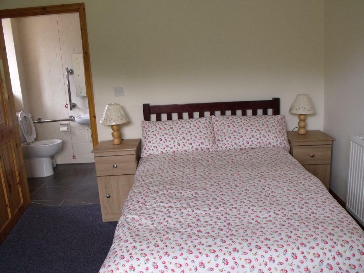 Cosy Ground Floor Disabled Friendly Room In Farm House Llandderfel エクステリア 写真