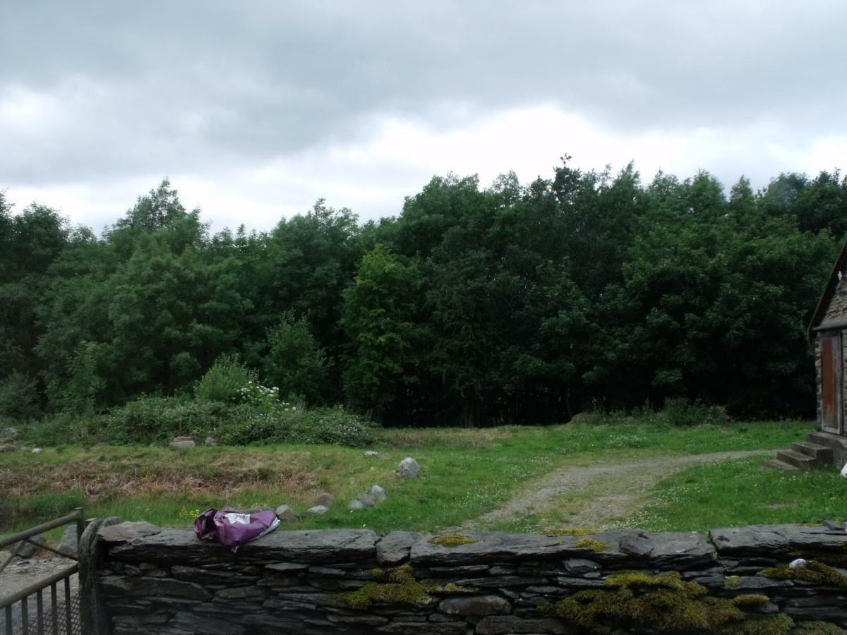 Cosy Ground Floor Disabled Friendly Room In Farm House Llandderfel エクステリア 写真